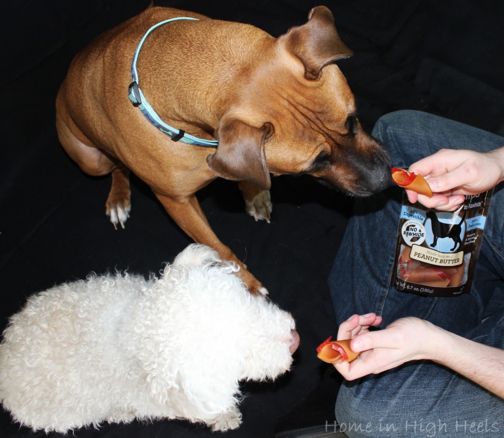 SmartBones SmartChips Peanut Butter Chews Dog Treats are rawhide free & a huge hit with our dogs! Great, healthy treats that are easy to digest & enjoy! on Home in High Heels