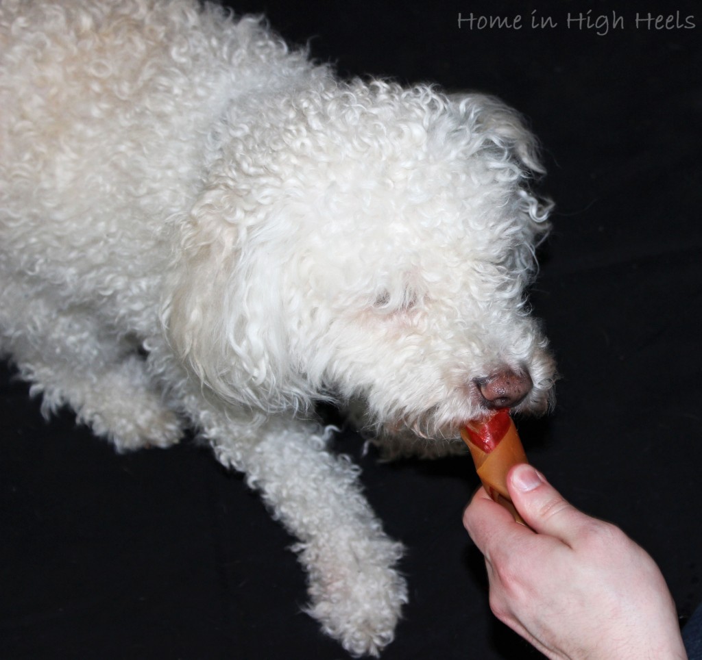 SmartBones SmartChips Peanut Butter Chews Dog Treats are rawhide free & a huge hit with our dogs! Great, healthy treats that are easy to digest & enjoy! on Home in High Heels