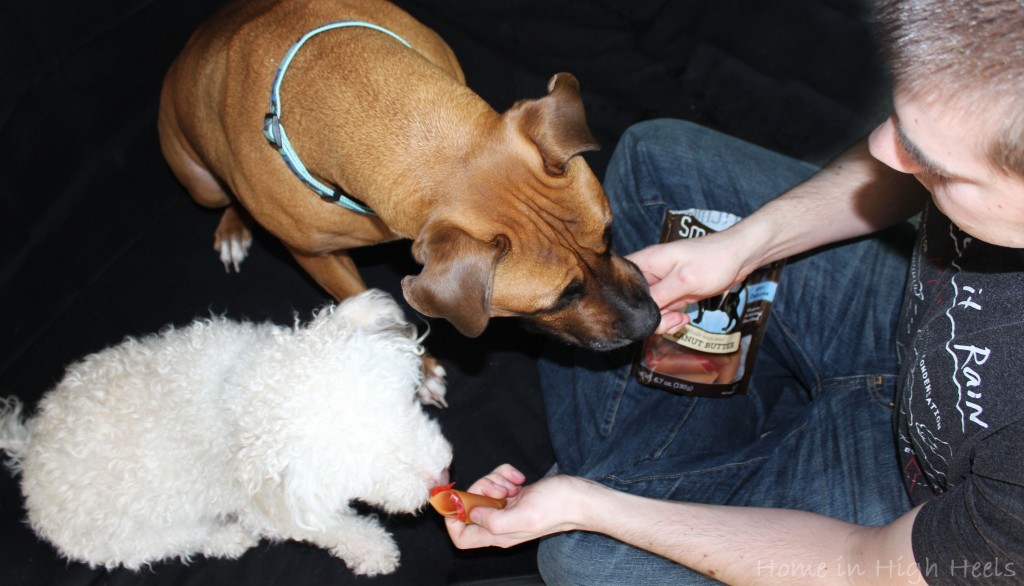 SmartBones SmartChips Peanut Butter Chews Dog Treats are rawhide free & a huge hit with our dogs! Great, healthy treats that are easy to digest & enjoy! on Home in High Heels