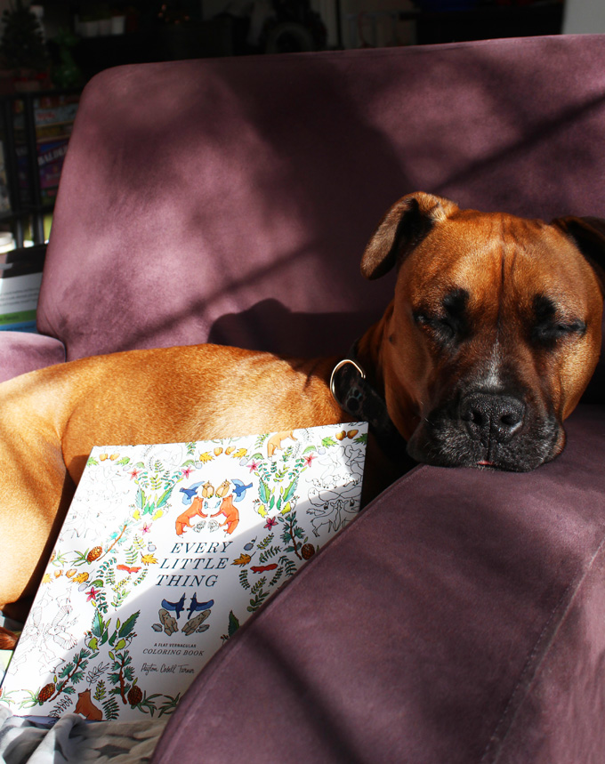 Every Little Thing is fabulously quirky coloring book that has lovely pictures often dealing with animals, plants, & 1980s inspired items. Check out more on Home in High Heels!