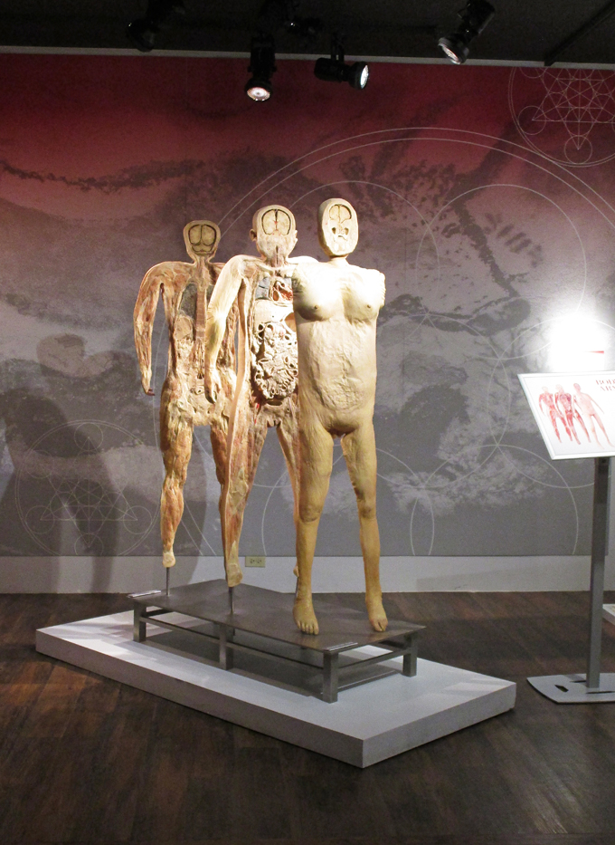 Check out our thoughts on the Real Bodies Exhibit at Bally's Las Vegas on Home in High Heels