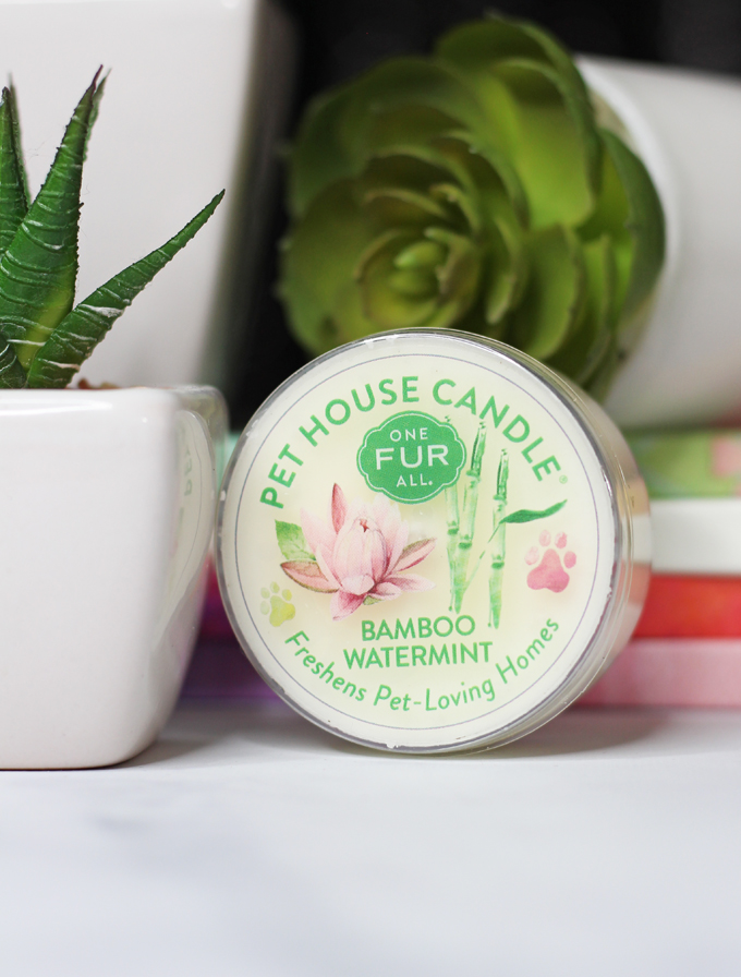 This is the Bamboo Watermint Candle Meet the perfect hand poured, dye-free candles for your home- especially if you have pets! One Fur All Pet House Candle Mini Sampler Spring Mix Review on Home in High Heels