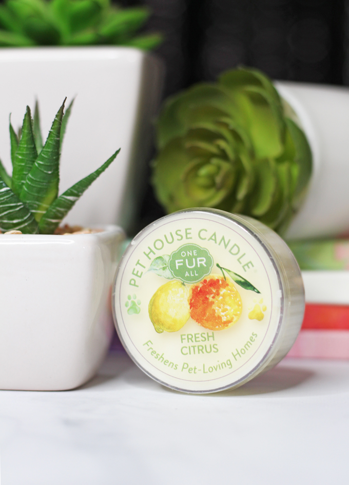 This is the Fresh Citrus Candle Meet the perfect hand poured, dye-free candles for your home- especially if you have pets! One Fur All Pet House Candle Mini Sampler Spring Mix Review on Home in High Heels