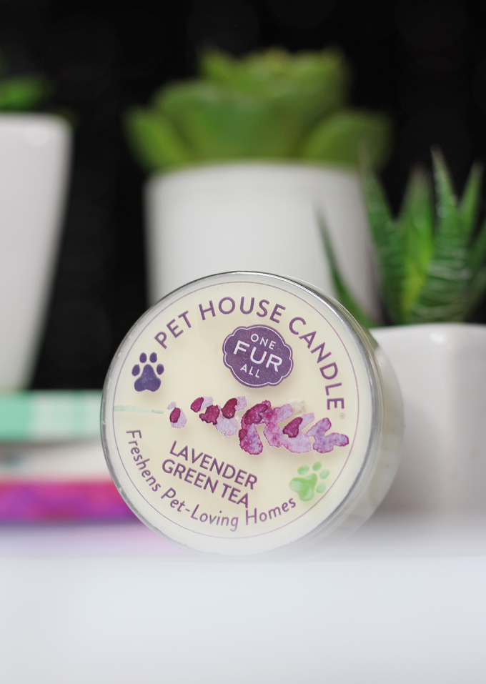 This is the Lavender Green Tea Candle Meet the perfect hand poured, dye-free candles for your home- especially if you have pets! One Fur All Pet House Candle Mini Sampler Spring Mix Review on Home in High Heels