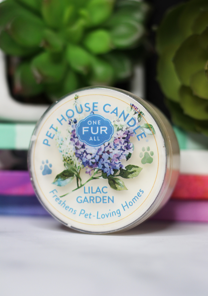 This is the Lilac Garden Candle Meet the perfect hand poured, dye-free candles for your home- especially if you have pets! One Fur All Pet House Candle Mini Sampler Spring Mix Review on Home in High Heels