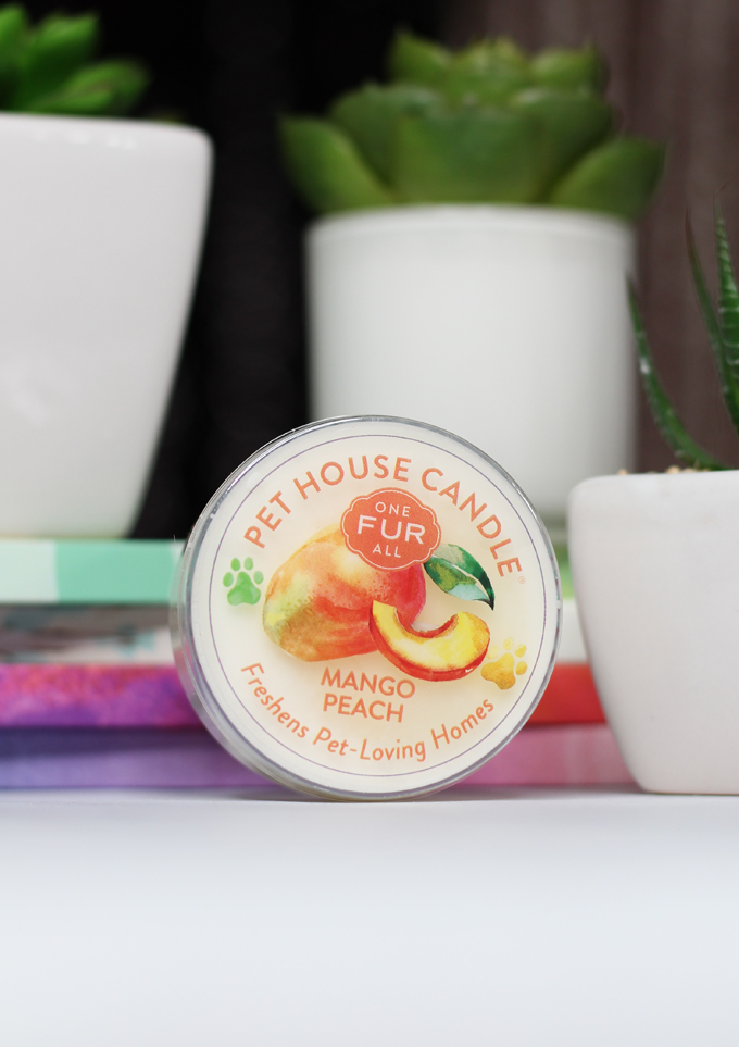 This is the Mango Peach Candle Meet the perfect hand poured, dye-free candles for your home- especially if you have pets! One Fur All Pet House Candle Mini Sampler Spring Mix Review on Home in High Heels