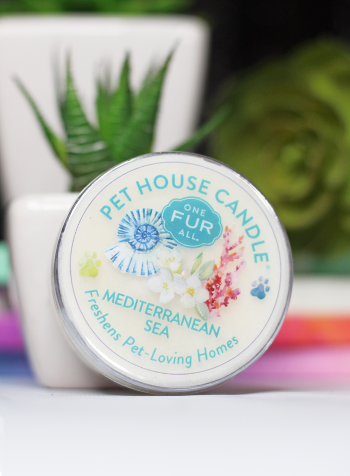 This is the Mediterranean Sea Candle Meet the perfect hand poured, dye-free candles for your home- especially if you have pets! One Fur All Pet House Candle Mini Sampler Spring Mix Review on Home in High Heels
