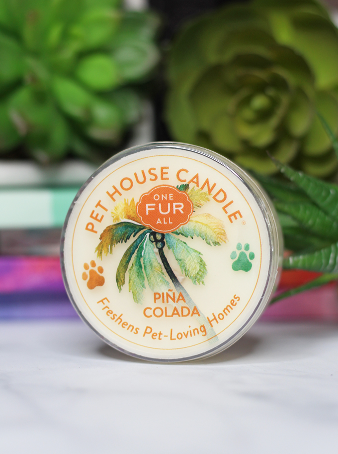 This is the Pina Colada Candle Meet the perfect hand poured, dye-free candles for your home- especially if you have pets! One Fur All Pet House Candle Mini Sampler Spring Mix Review on Home in High Heels