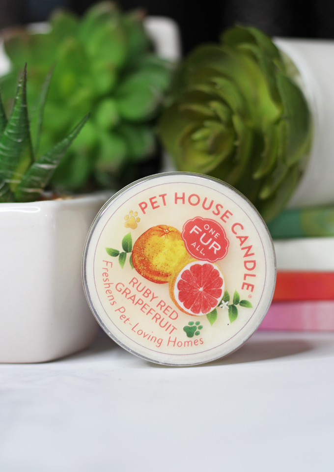 This is the Ruby Red Grapefruit Candle Meet the perfect hand poured, dye-free candles for your home- especially if you have pets! One Fur All Pet House Candle Mini Sampler Spring Mix Review on Home in High Heels