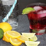Soadastream Source Review & Different Flavors How to by Home in High Heels