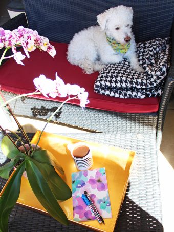 Creating an Apartment Patio I Love with LuxeDecor on Home in High Heels