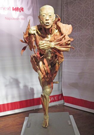Check out our thoughts on the Real Bodies Exhibit at Bally's Las Vegas on Home in High Heels