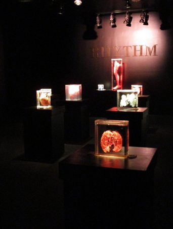 Check out our thoughts on the Real Bodies Exhibit at Bally's Las Vegas on Home in High Heels