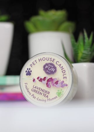This is the Lavender Green Tea Candle Meet the perfect hand poured, dye-free candles for your home- especially if you have pets! One Fur All Pet House Candle Mini Sampler Spring Mix Review on Home in High Heels
