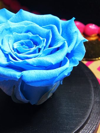 Glow in the Dark Flowers Roses are hand Dyed & glow in the dark for a year! Video Included! Mother's Day Gifting Guide from a Vegas gal! See some of my local favorites, small businesses, & a splurge day idea on Home in High Heels